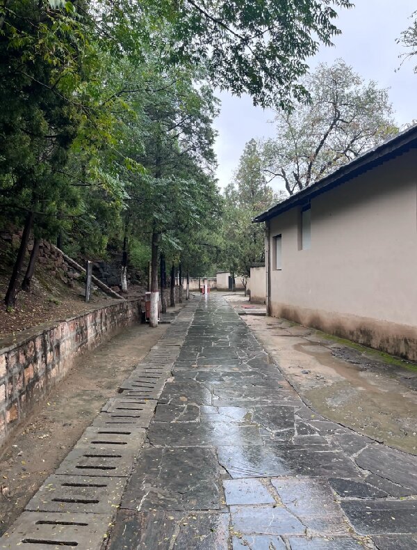 企事业单位支部干部西柏坡培训 聚力提升领导力 