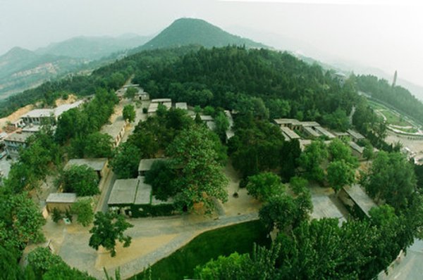 西柏坡红色培训：解锁新时代干部成长必修课密码 